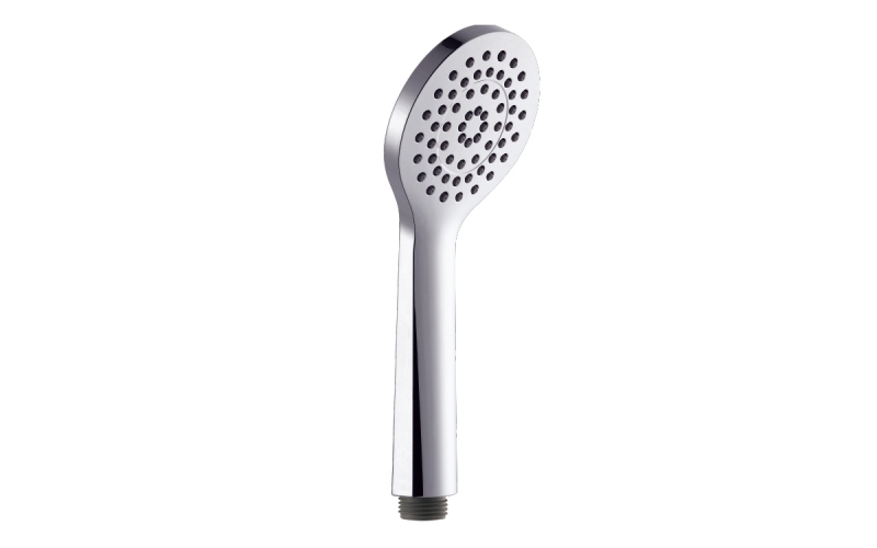1-Function Chrome Shower DS1290